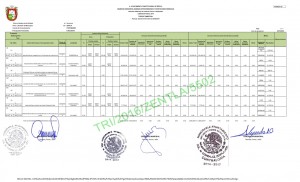 ZENTLA TERCER TRIMESTRE FAFM_002