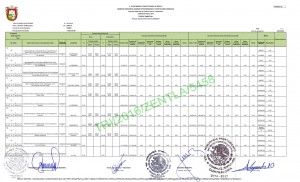 ZENTLA TERCER TRIMESTRE FISM_002