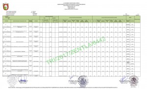 1 Trimestre F.A.F.M_001