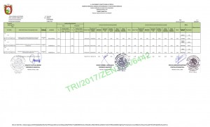 1 Trimestre F.A.F.M_002