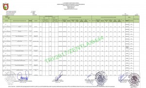 1 Trimestre F.I.S.M_002