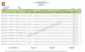 SEGUNDO TRIMESTRE FISM_001