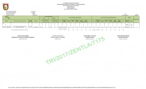 SEGUNDO TRIMESTRE FISM_005